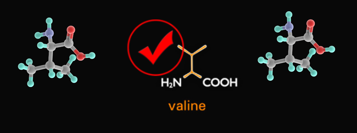 valine